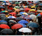parapluies