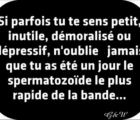 Sans titre 12