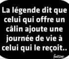 Sans titre 7