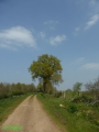 chemin