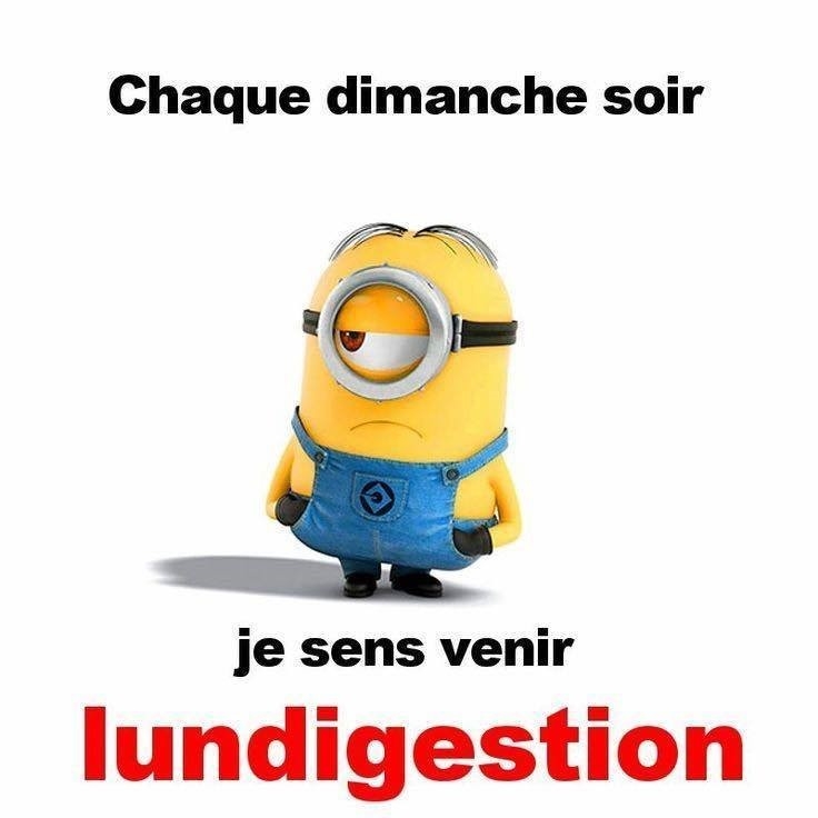 Sans titre 4