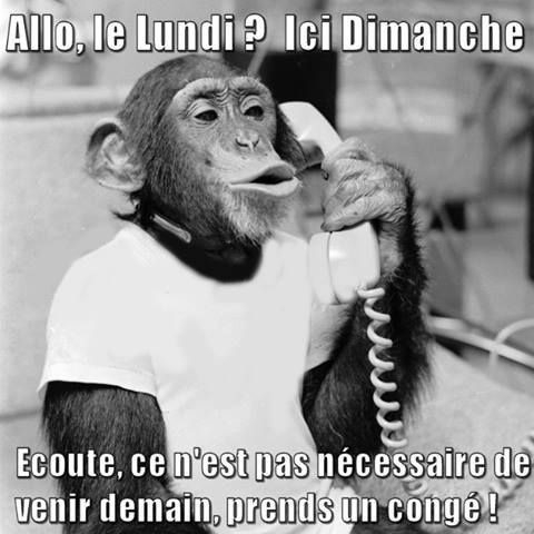 Sans titre 6