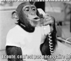 Sans titre 6