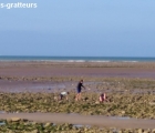 gratteurs