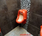 Sans titre 15