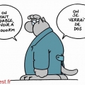 Sans titre 8