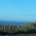 bateaux de promenade