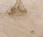 vestiges